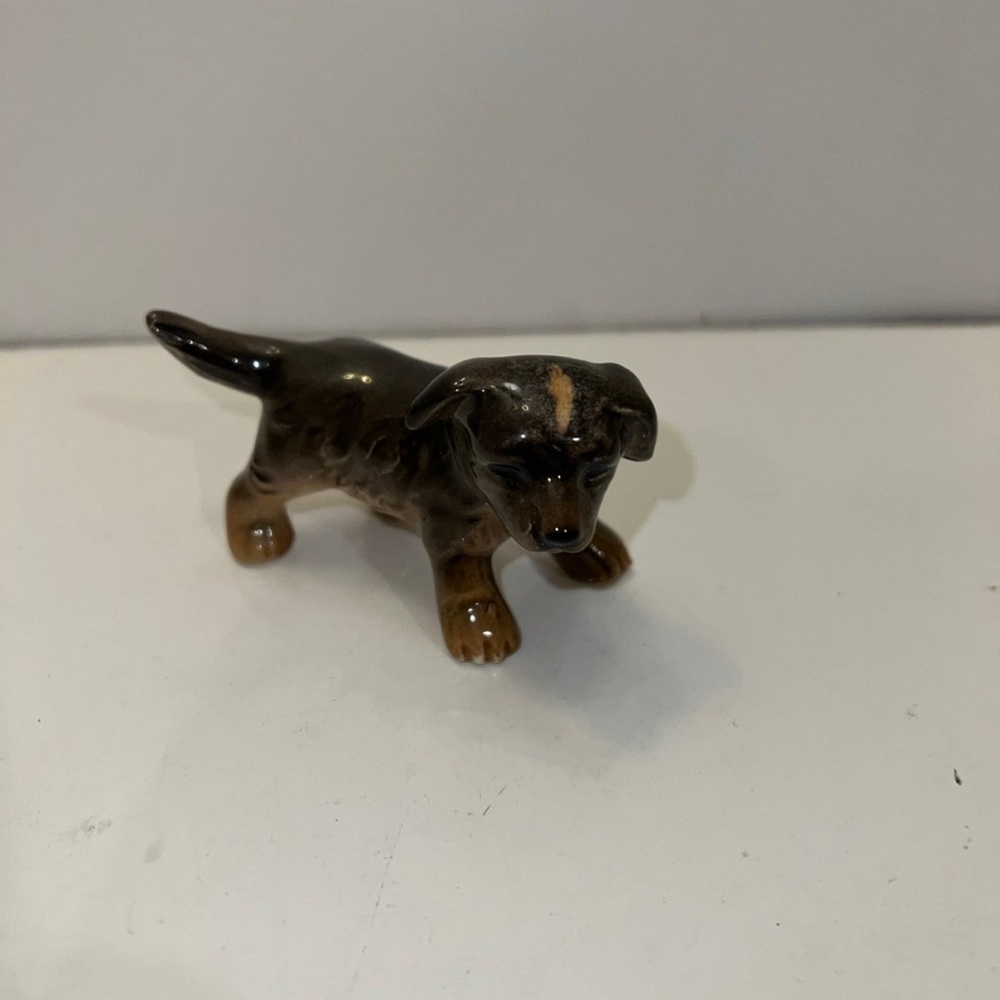 Goebel Little dark Brown Dog.